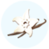 vanilla